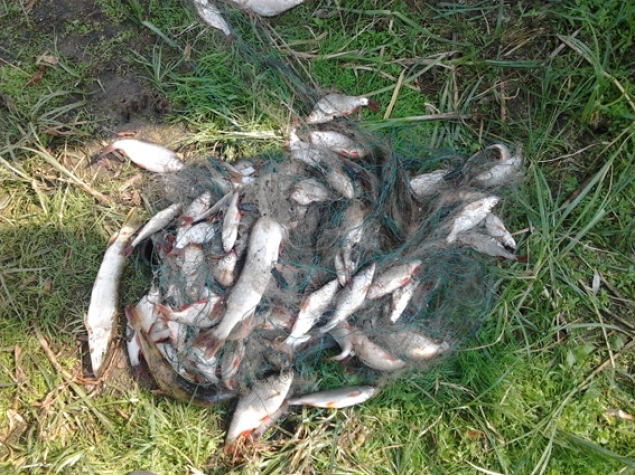 У Знам’янці рибалки незаконно навудили риби на 13 тисяч гривень 