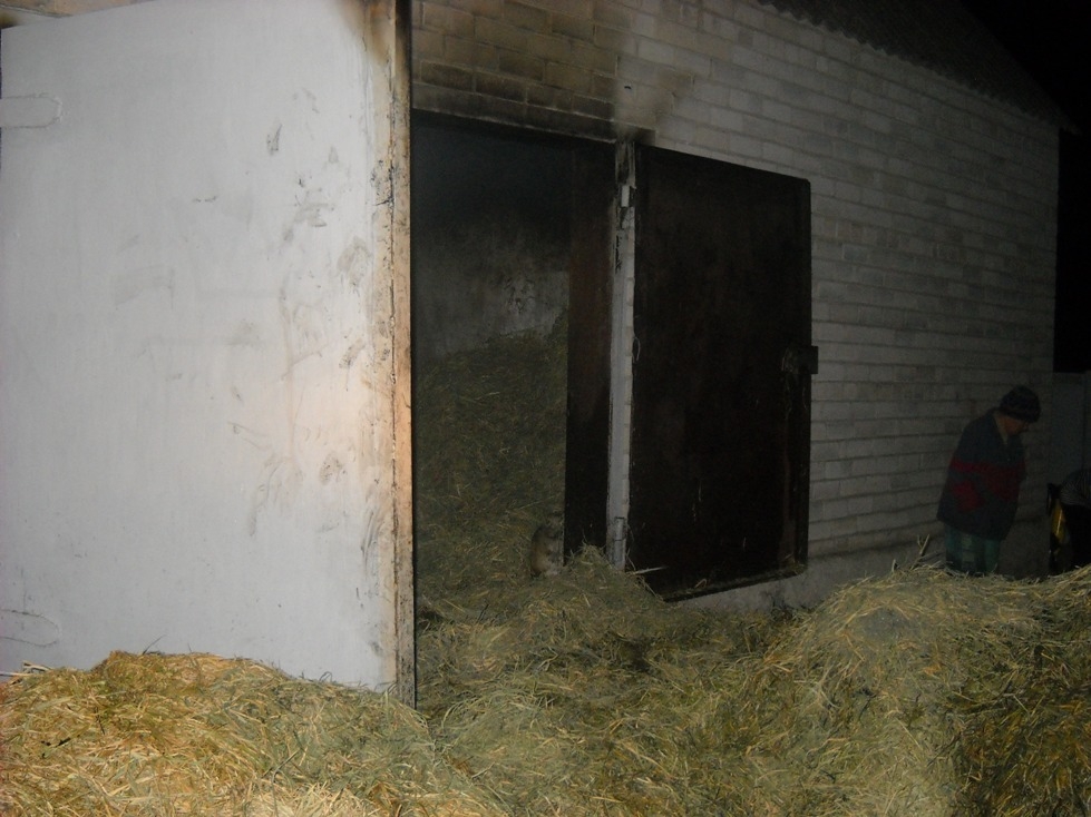 Новгородка: ліквідовано пожежу в гаражі