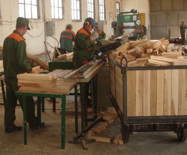На Кіровоградщині перероблено деревини на 23,4 млн грн