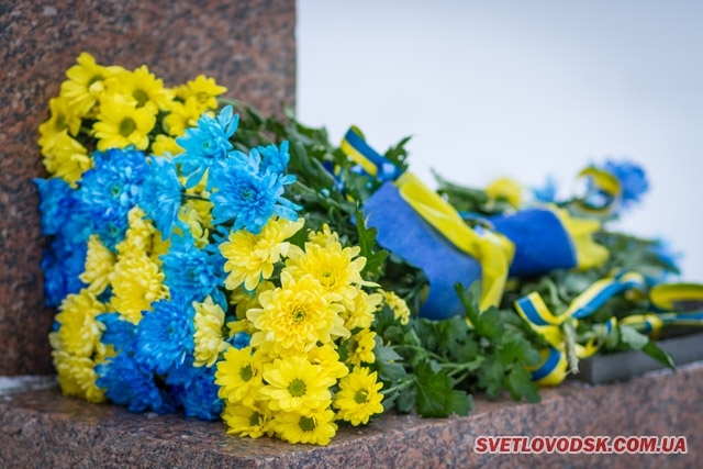 Світловодськ відзначив День Соборності України мітингом 