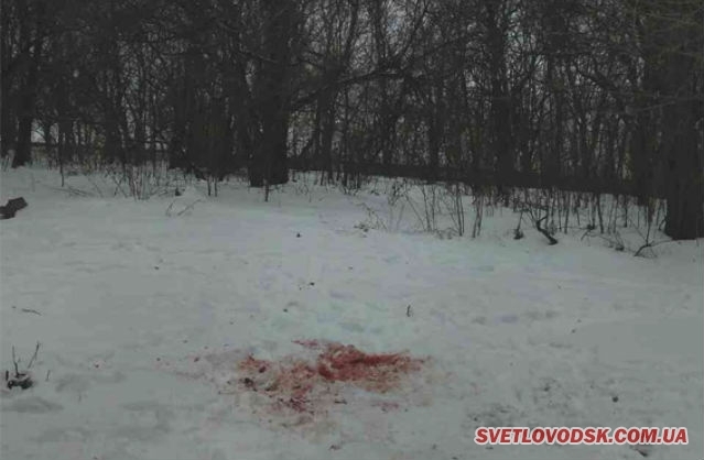 Калюжа крові біля «Літака» у Світловодську — потерпілий в реанімації, «стрілок» під вартою