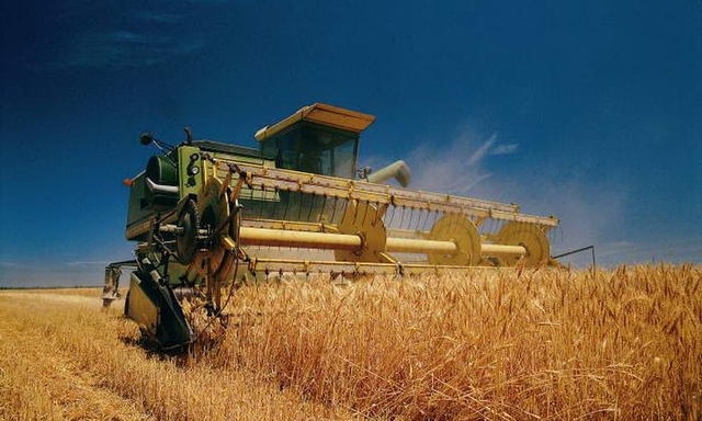 У 2016 році на Кіровоградщині досягнуто найбільшої врожайності зернових за період існування області