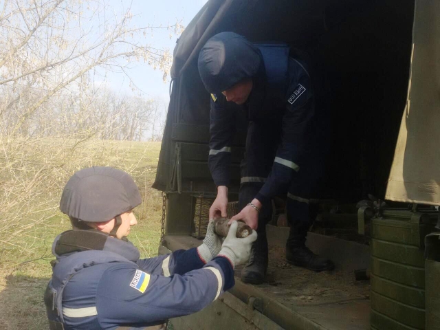 Піротехніками знешкоджено 127 вибухонебезпечних предметів у Новгородківському районі