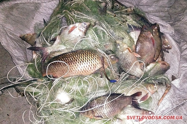 На Кіровоградщині поліцейські вилучили у браконьєра незаконний улов на понад 11 тисяч гривень 