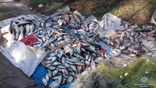 На Кіровоградщині вилучено понад 700 кг незаконно виловленої риби