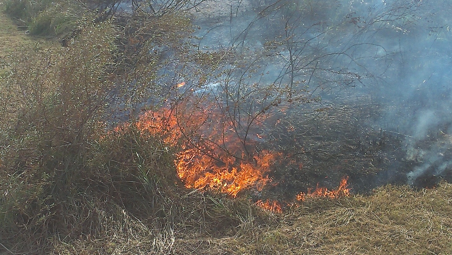 Протягом доби рятувальники ліквідовували пожежі на території сільськогосподарських угідь, приватних домоволодінь та на відкритій місцевості
