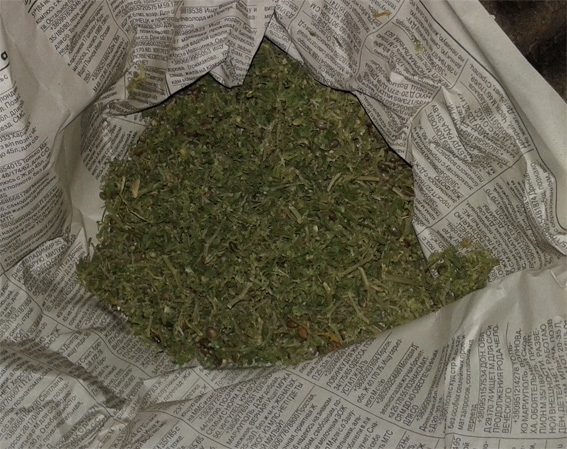 Близько 2 кг марихуани поліцейські вилучили у мешканця Онуфріївського району