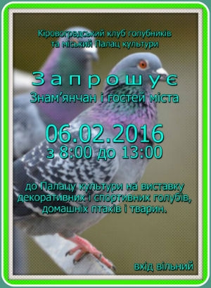 У Знам'янці відбудеться виставка голубів