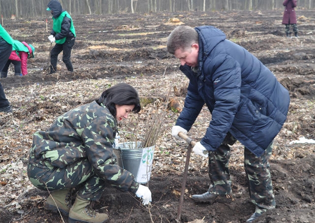 На Олександрівщині Міжнародний день лісів відзначили посадкою молодих дубів