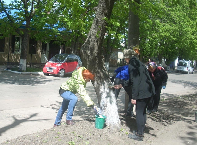 Олександрівка долучилася до всеукраїнської акції "За чисте довкілля"