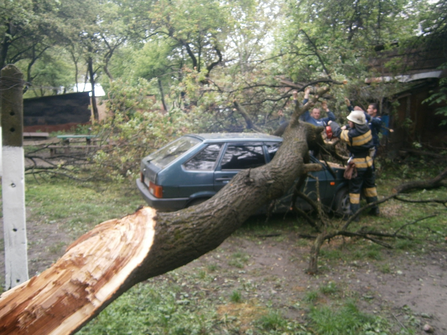 У Знам’янці рятувальники розпиляли й прибрали дерево, яке впало на автомобіль