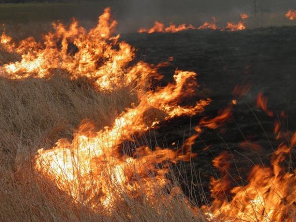 Нинішнього року в області сталося 106 пожеж на відкритій території, у тому числі три – на сільгоспугіддях