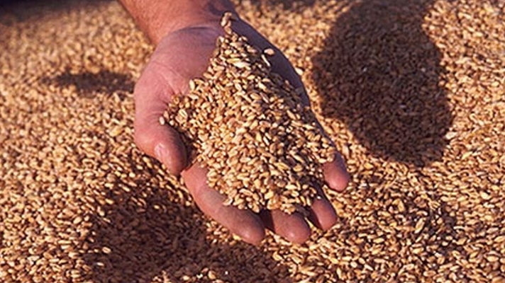 Хлібороби Кіровоградщини зібрали перший мільйон тонн зерна
