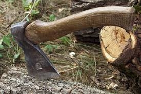 За незаконну порубку дерев засуджено мешканця Знам’янського району