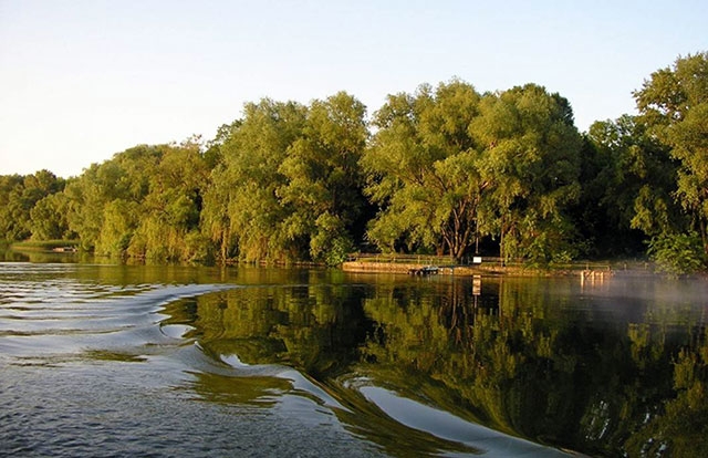 Прокуратура домоглася повернення державі земельної ділянки лісового фонду на березі Дніпра