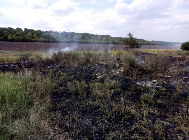 Кіровоградська область: протягом минулої доби виникло 9 пожеж сухої рослинності та сміття