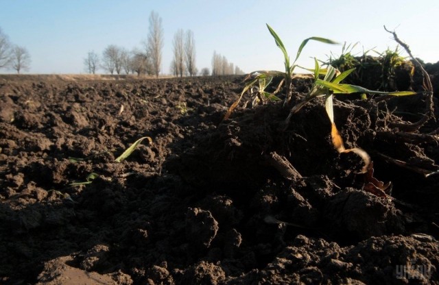 У ЄБРР підрахували мільярдні збитки України від недостатнього зрошення землі