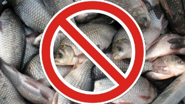 У водоймах Кіровоградської області заборонений будь-який вилов риби під час нересту