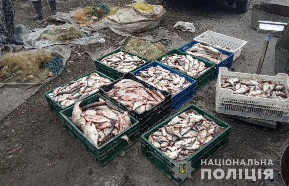 На Кіровоградщині поліцейські спільно з рибоохороною викрили браконьєрів