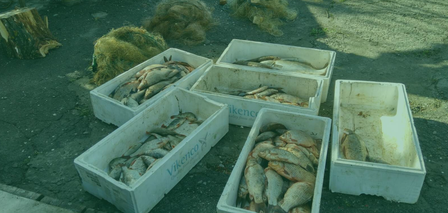 В Світловодському районі Кіровоградської області виявлено порушення правил рибальства