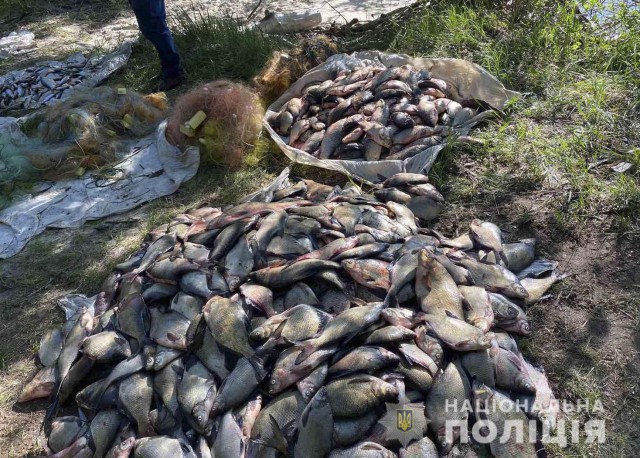 На Кіровоградщині поліцейські вилучили у браконьєрів риби на понад 200 тисяч гривень
