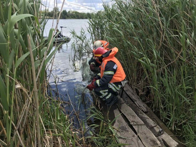 Олександрівський район: рятувальники вилучили тіло потопельника зі ставка