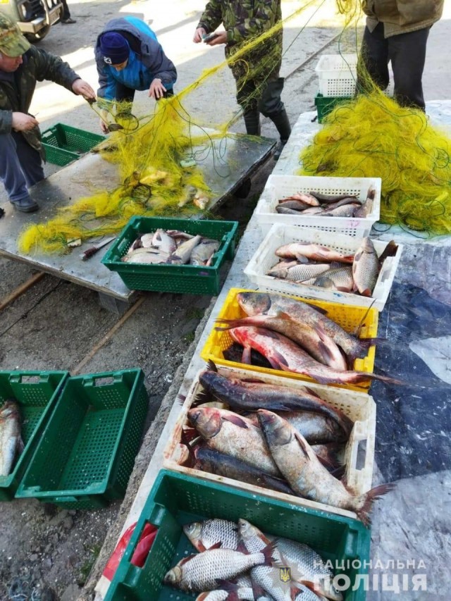 На Кіровоградщині більш ніж півтонни незаконно виловленої риби