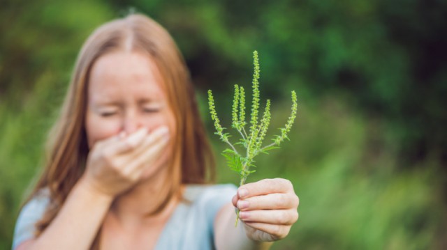 Сезонна алергія: як полегшити свій стан