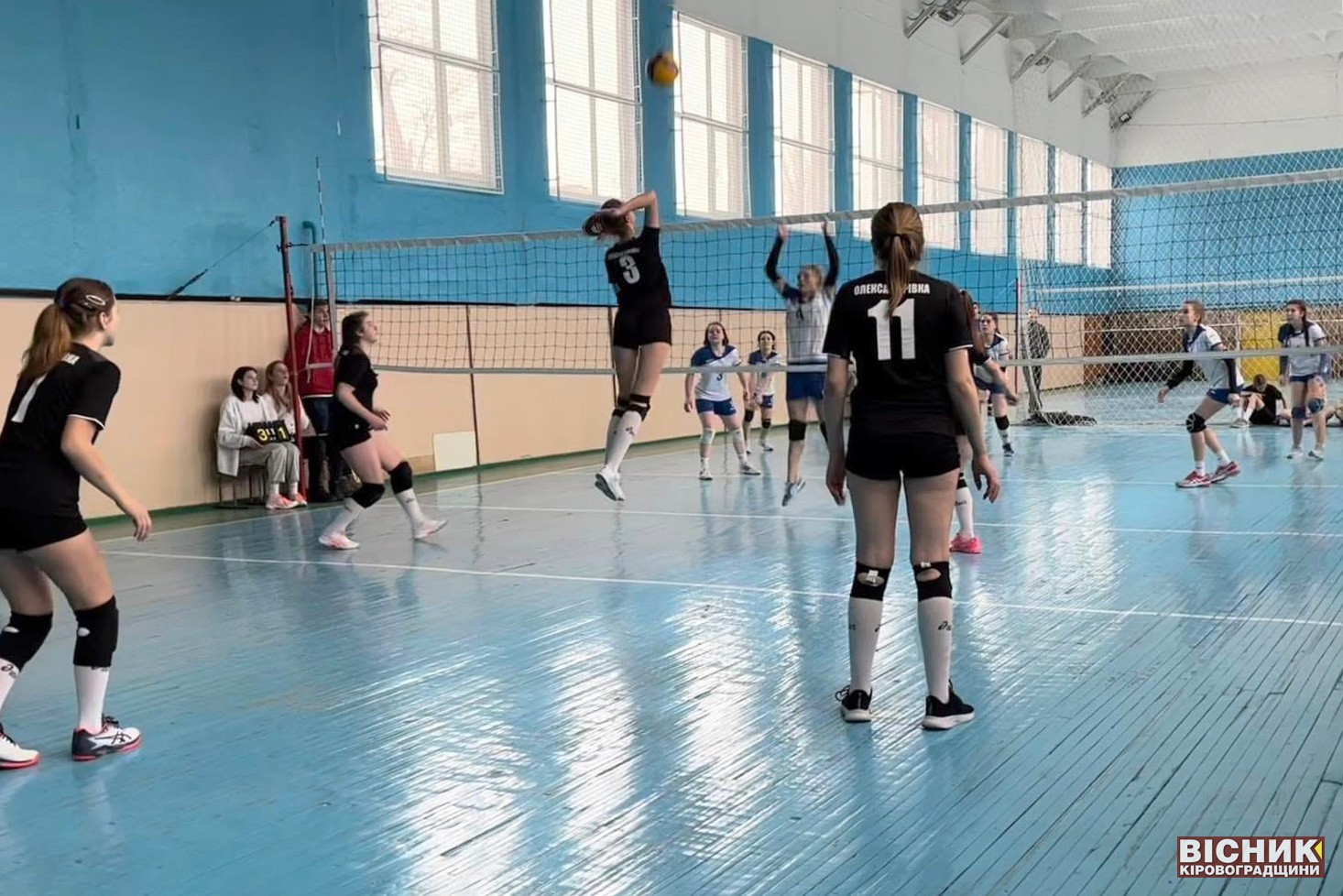 Волейболістки з Олександрівки — призерки першості області