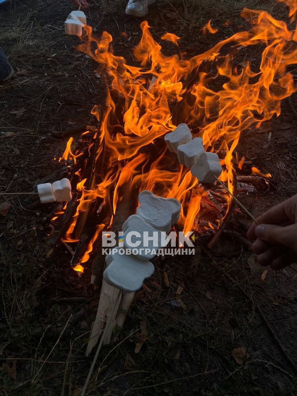 Всеукраїнський табір для волонтерів діяв у Знам’янській громаді