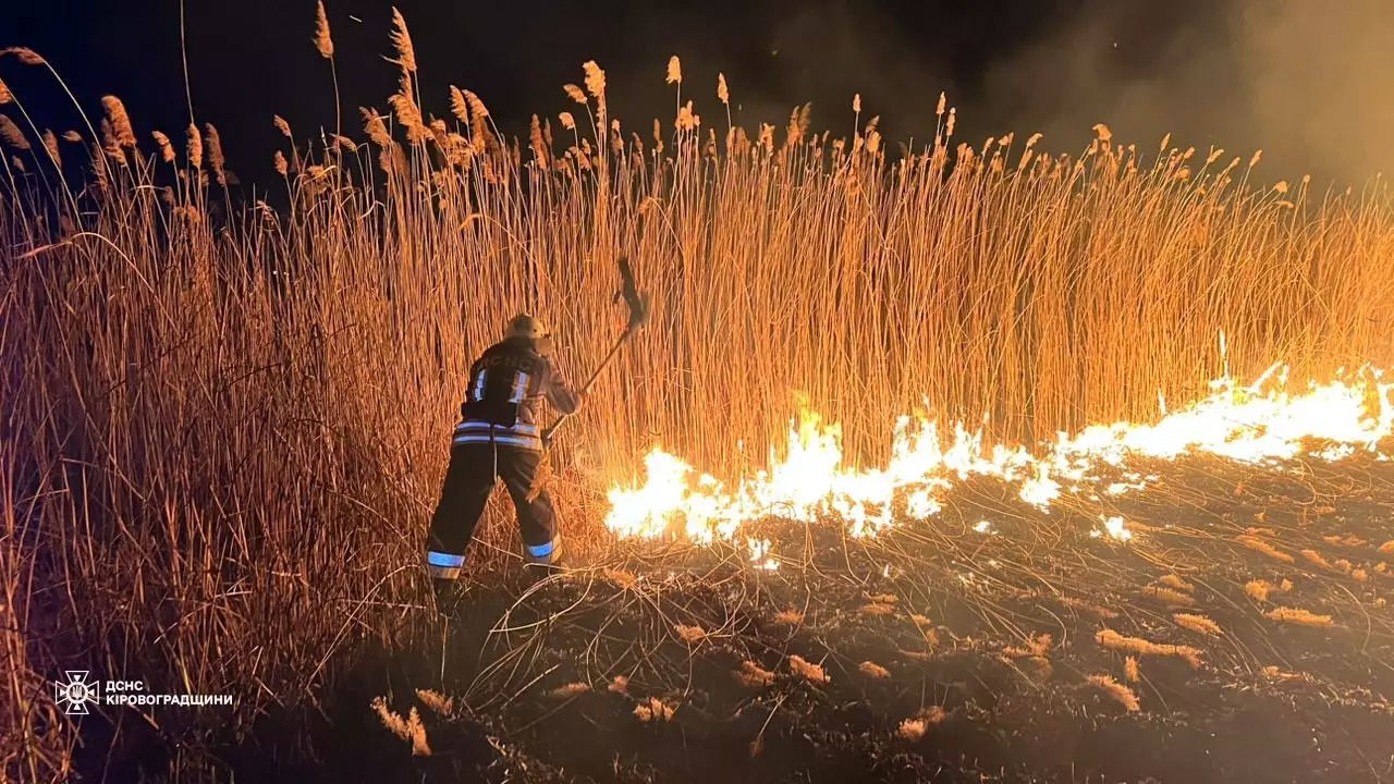 Масштабна пожежа у Світловодську: горить сухостій