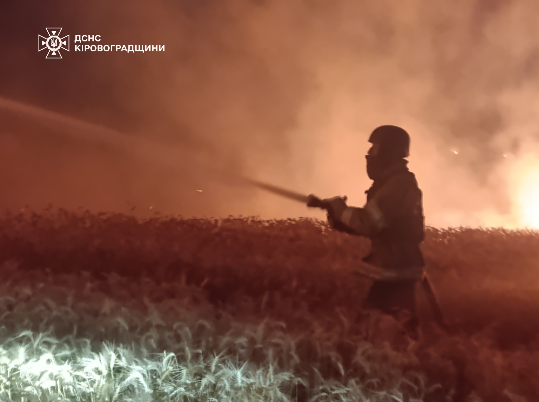 Росія атакувала Кіровоградщину «Шахедами»: палає пшеничне поле Росія атакувала Кіровоградщину «Шахедами»: палає пшеничне поле