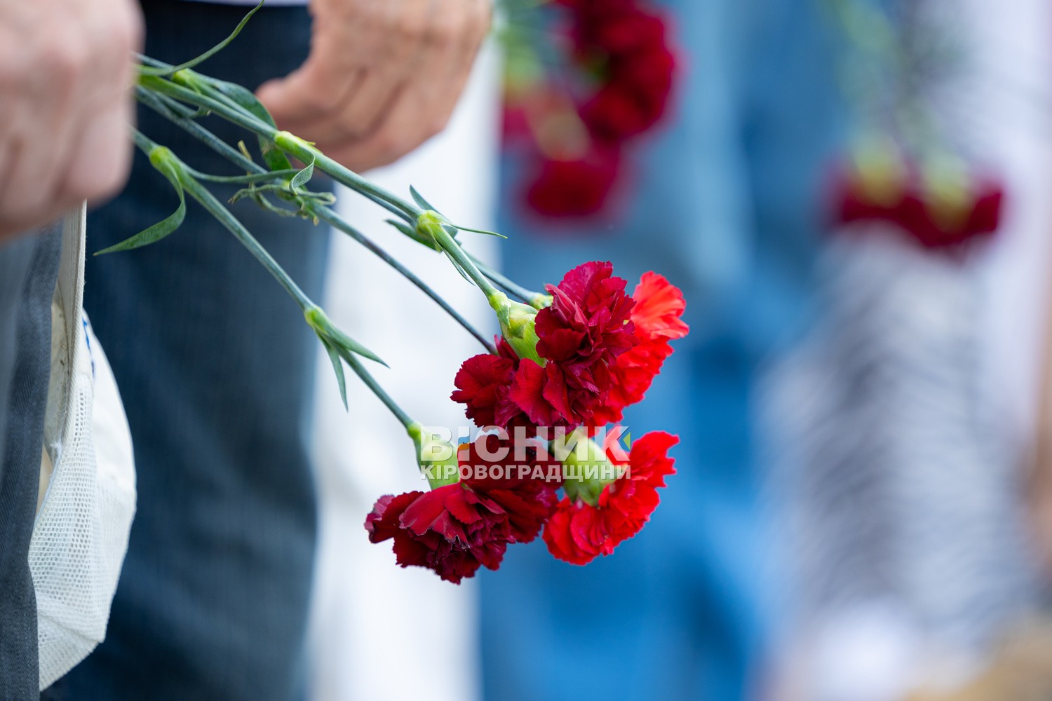 У Світловодську відзначили День Української Державності У Світловодську відзначили День Української Державності