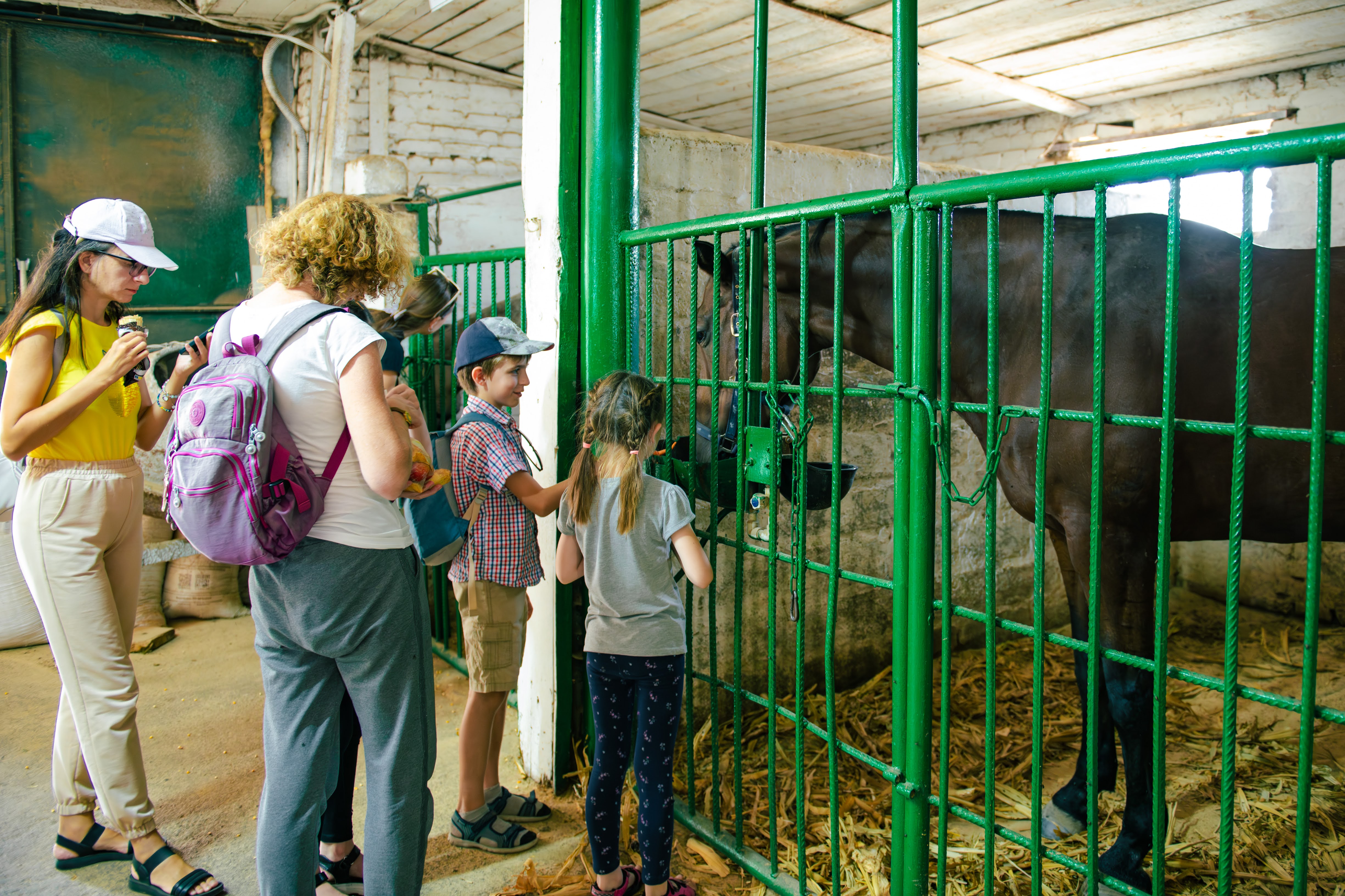 Кропивницький подарував херсонцям і містянам теплий день радості та підтримки Кропивницький подарував херсонцям і містянам теплий день радості та підтримки