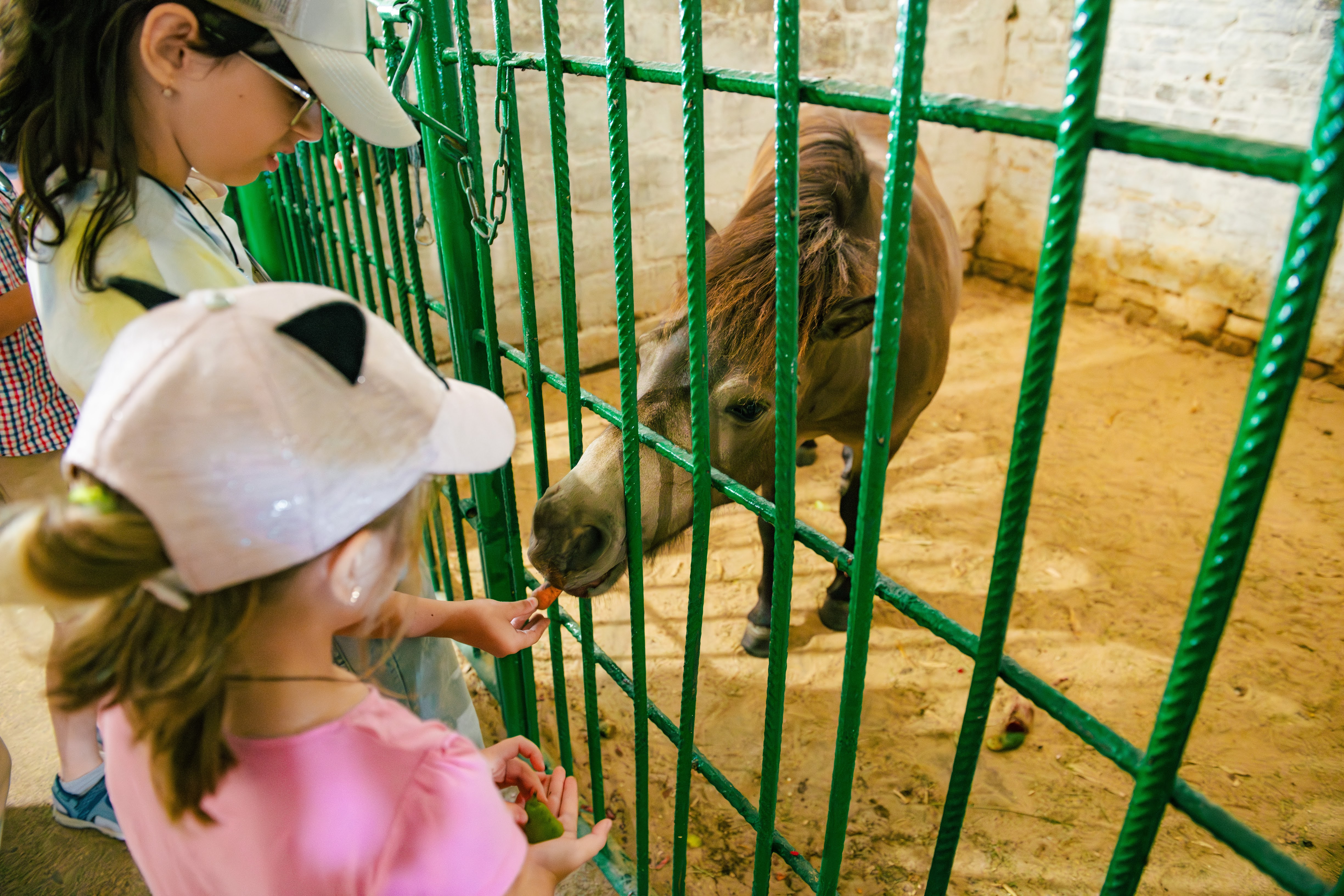 Кропивницький подарував херсонцям і містянам теплий день радості та підтримки Кропивницький подарував херсонцям і містянам теплий день радості та підтримки
