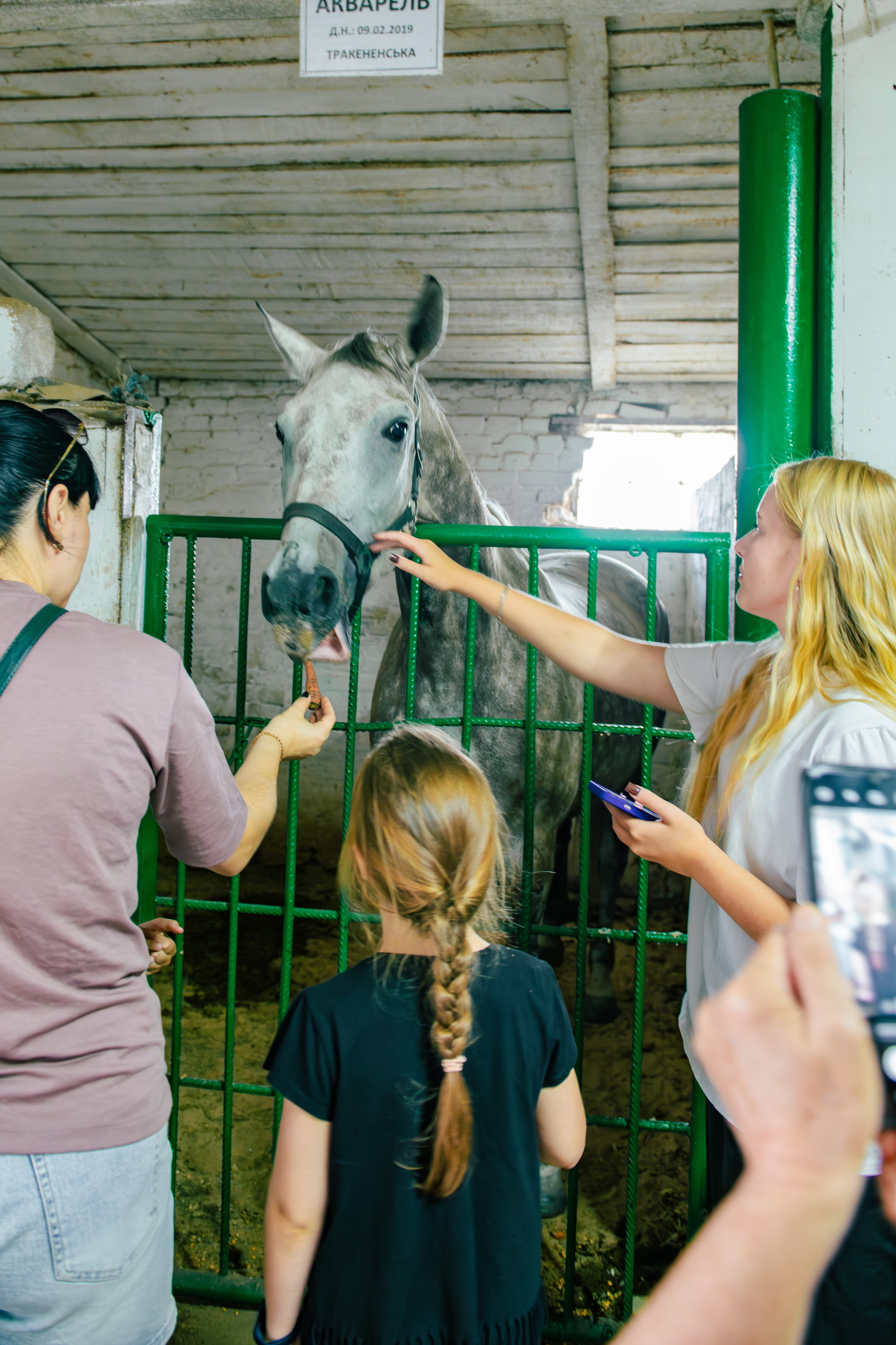 Кропивницький подарував херсонцям і містянам теплий день радості та підтримки Кропивницький подарував херсонцям і містянам теплий день радості та підтримки