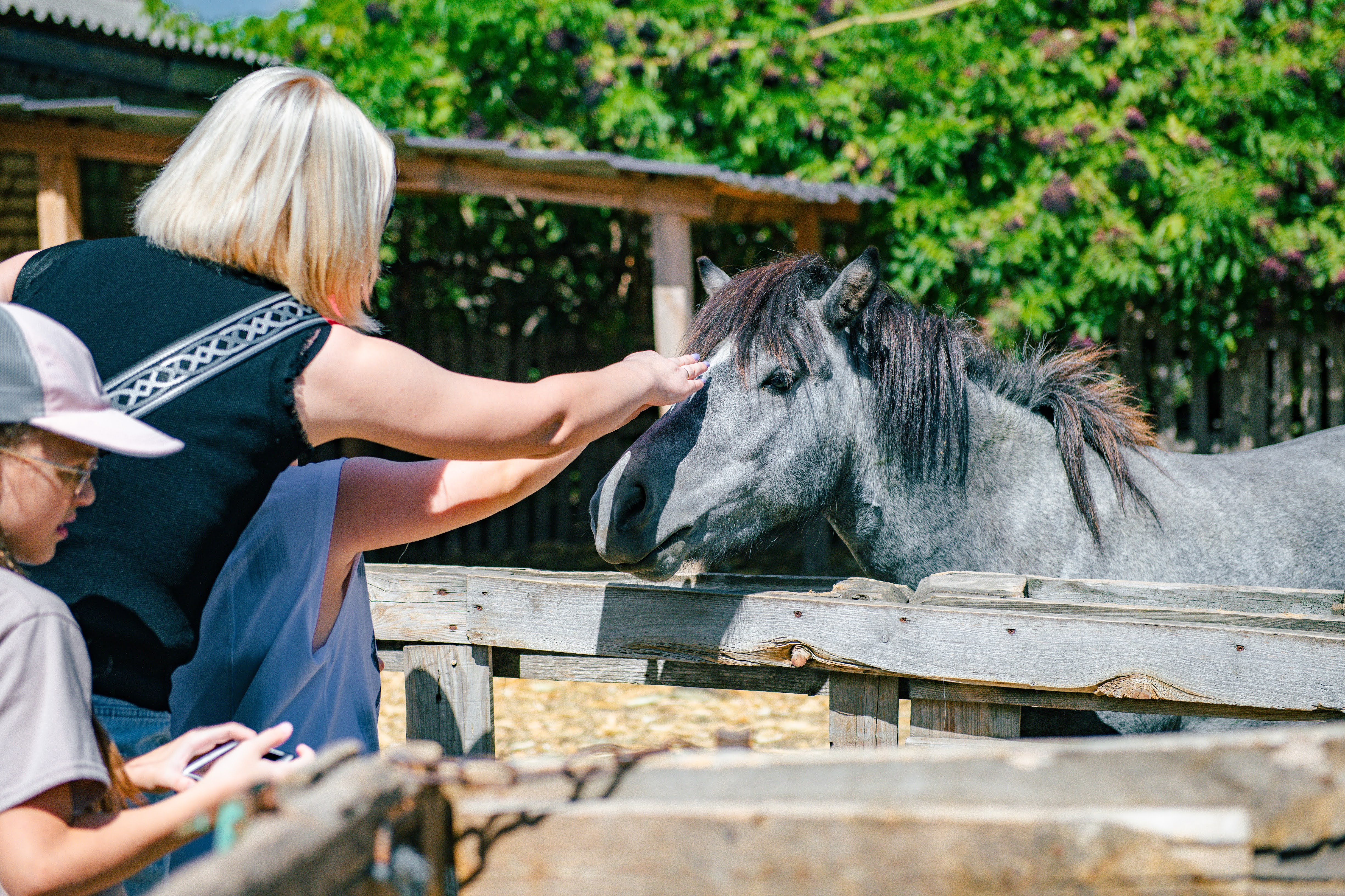 Кропивницький подарував херсонцям і містянам теплий день радості та підтримки Кропивницький подарував херсонцям і містянам теплий день радості та підтримки