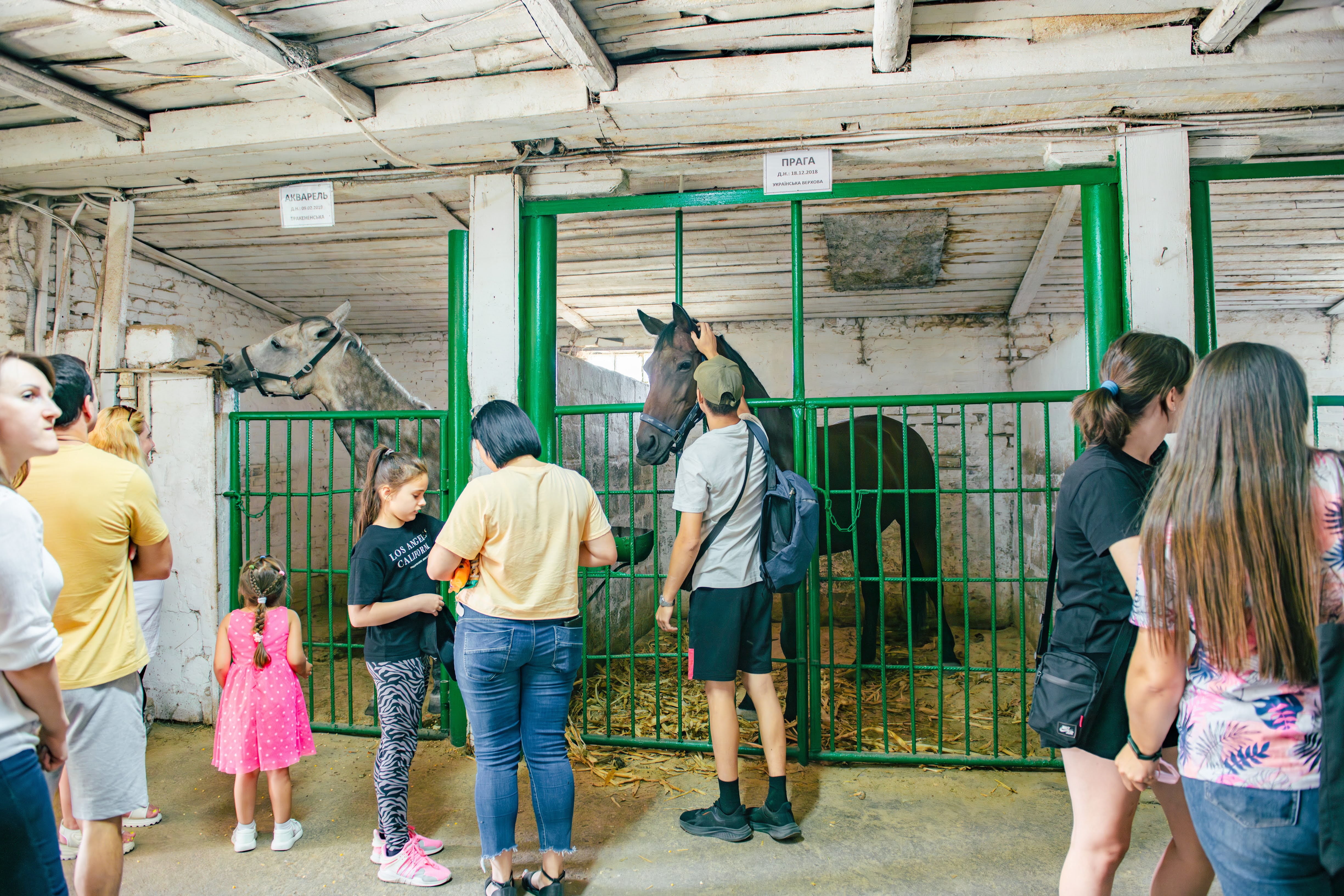 Кропивницький подарував херсонцям і містянам теплий день радості та підтримки Кропивницький подарував херсонцям і містянам теплий день радості та підтримки