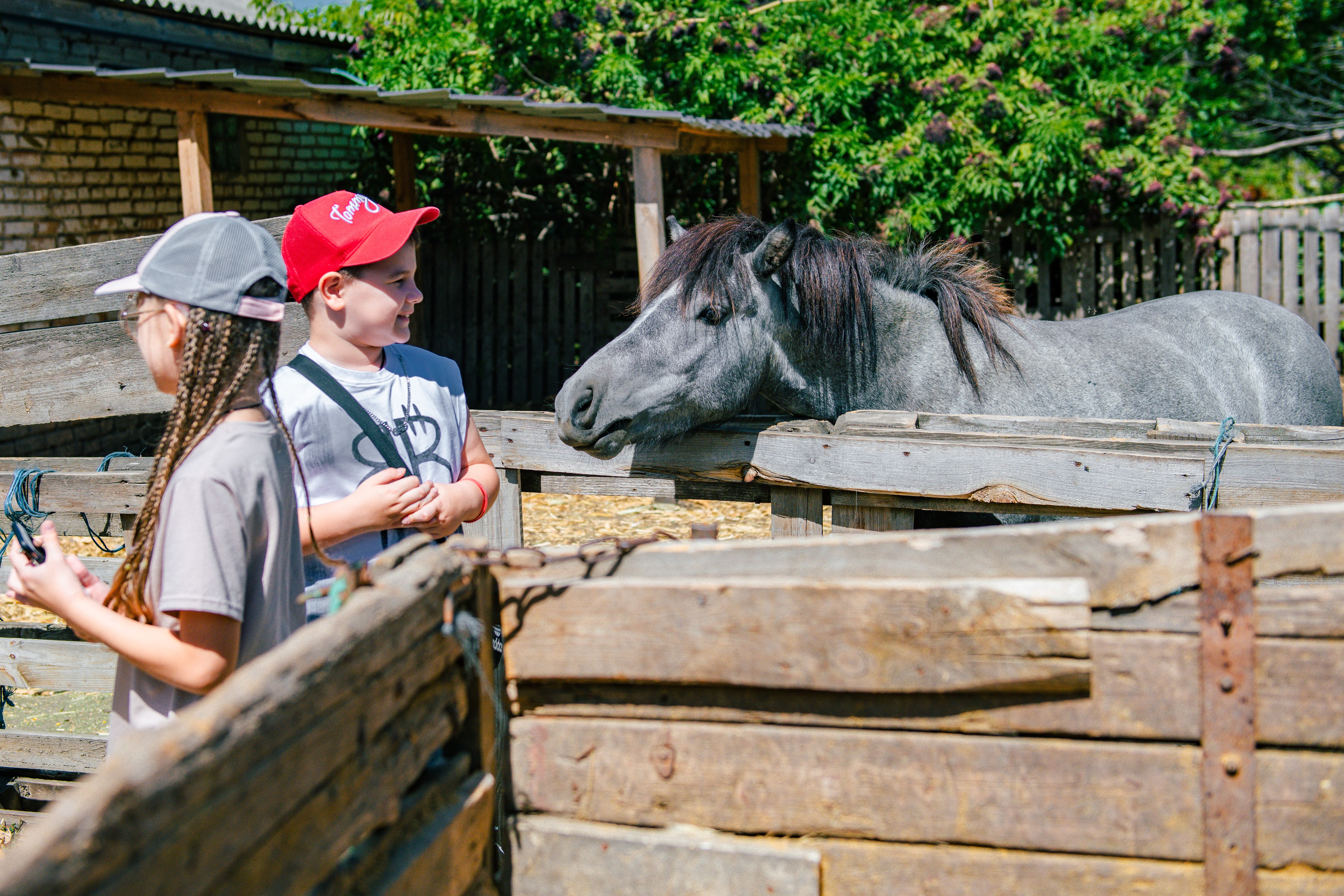 Кропивницький подарував херсонцям і містянам теплий день радості та підтримки Кропивницький подарував херсонцям і містянам теплий день радості та підтримки