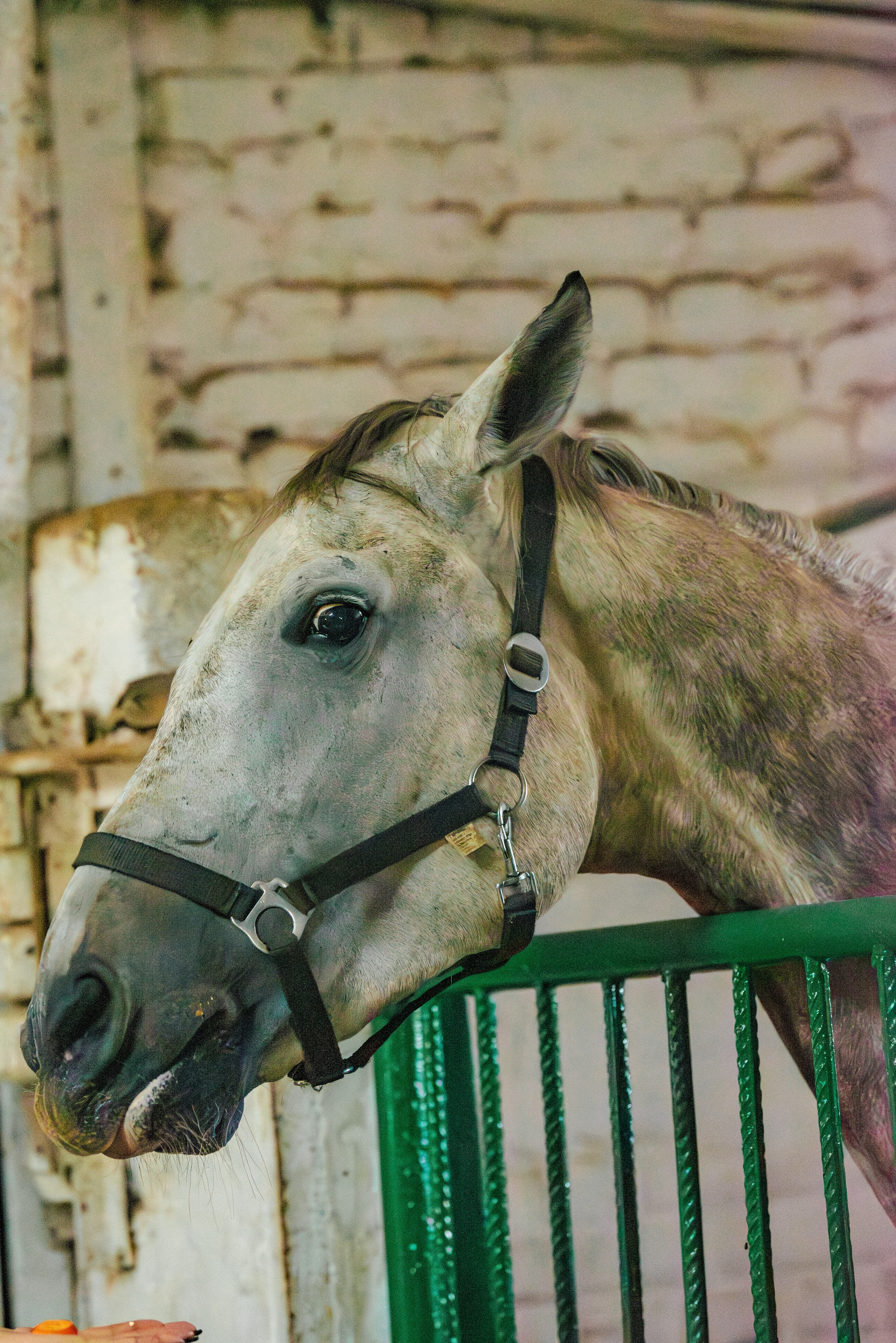 Кропивницький подарував херсонцям і містянам теплий день радості та підтримки Кропивницький подарував херсонцям і містянам теплий день радості та підтримки