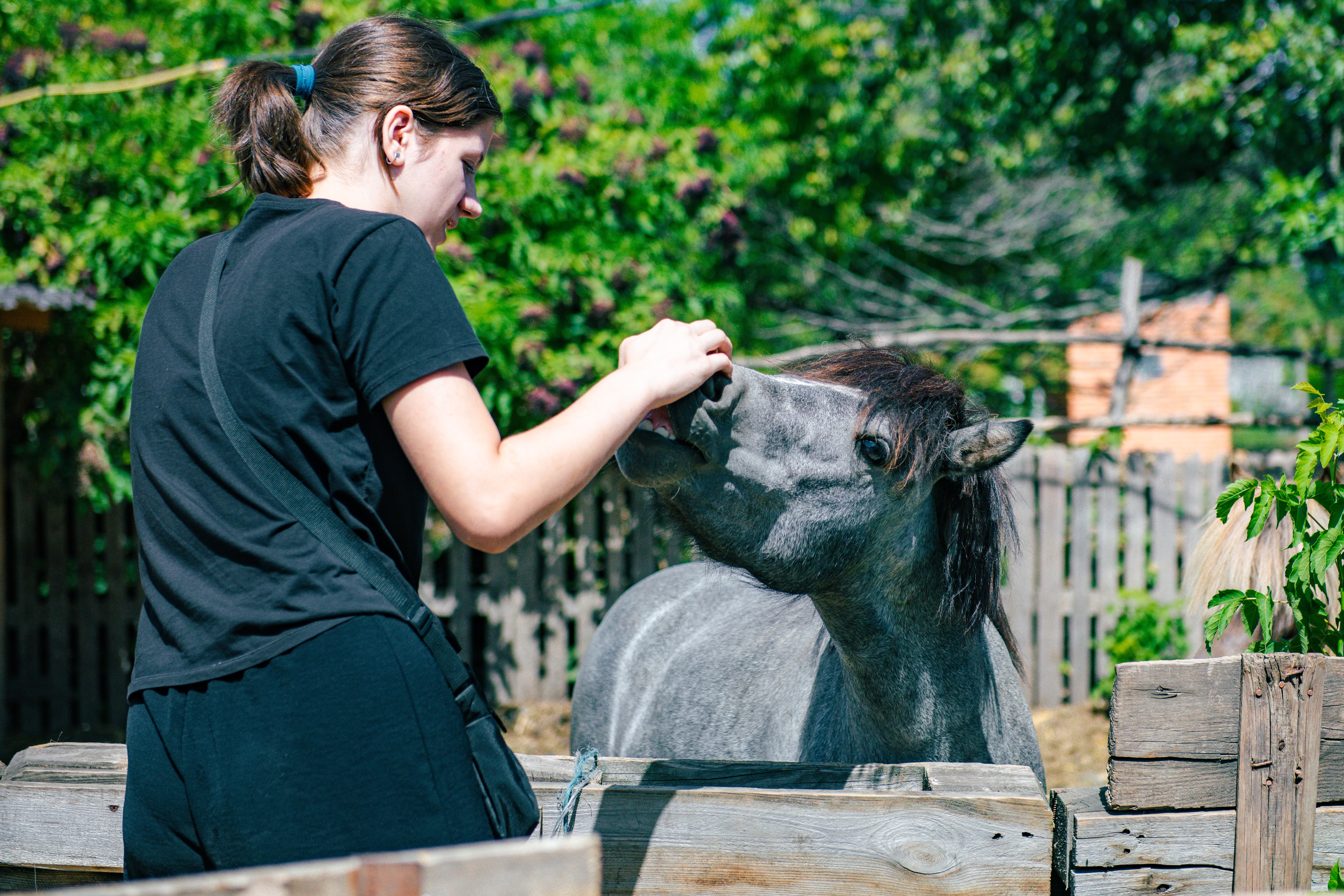 Кропивницький подарував херсонцям і містянам теплий день радості та підтримки Кропивницький подарував херсонцям і містянам теплий день радості та підтримки