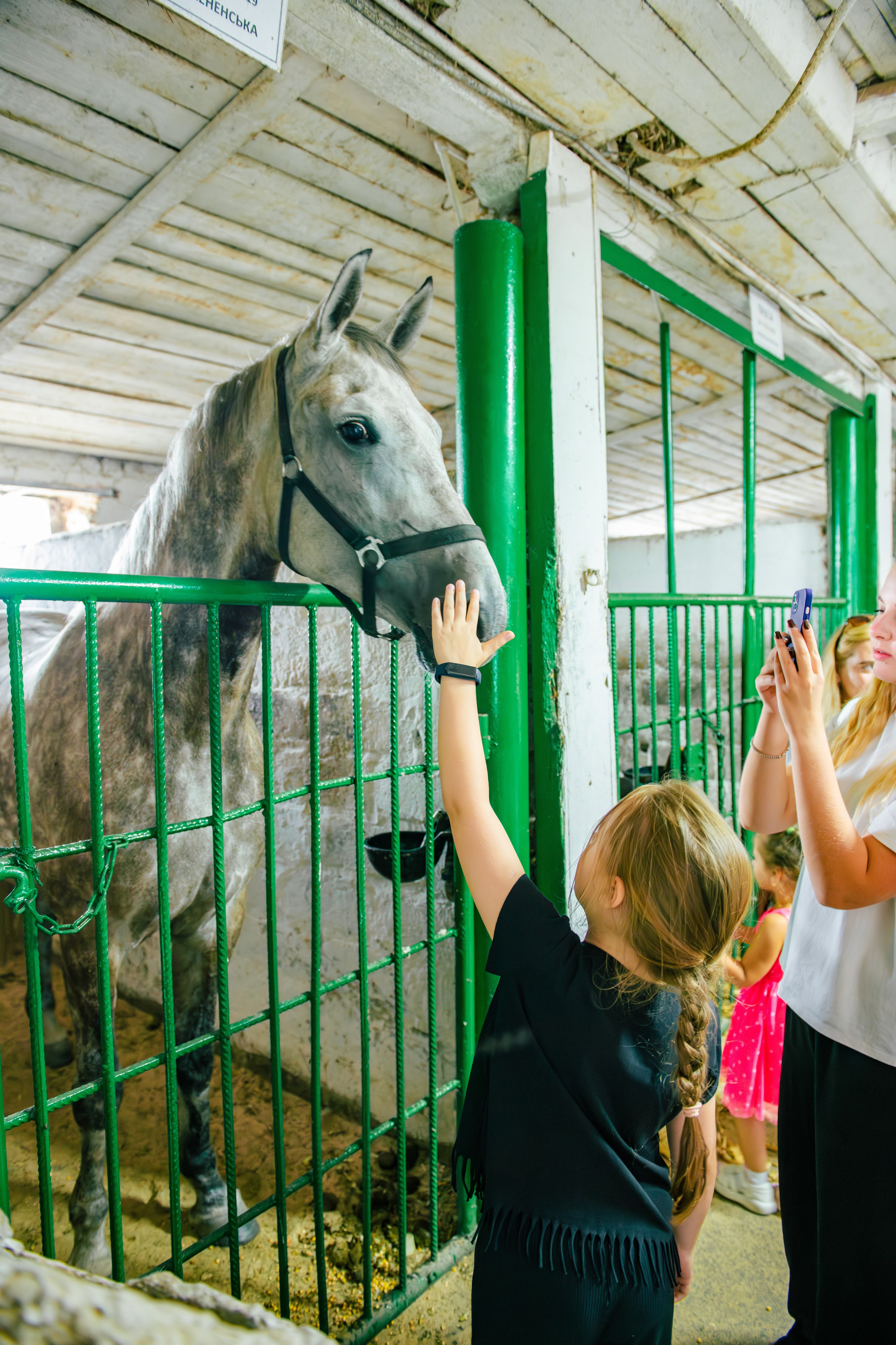Кропивницький подарував херсонцям і містянам теплий день радості та підтримки Кропивницький подарував херсонцям і містянам теплий день радості та підтримки