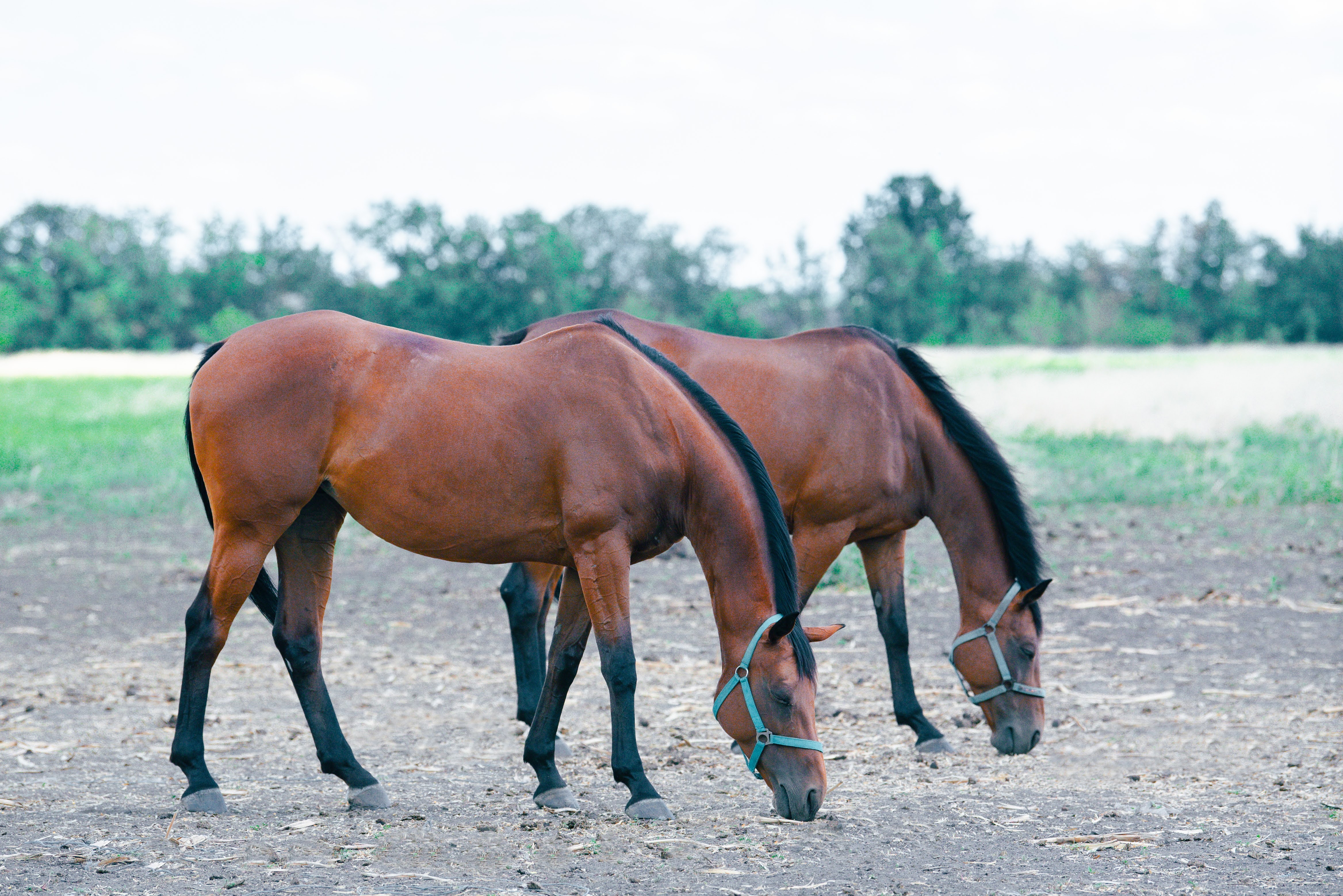 Кропивницький подарував херсонцям і містянам теплий день радості та підтримки Кропивницький подарував херсонцям і містянам теплий день радості та підтримки