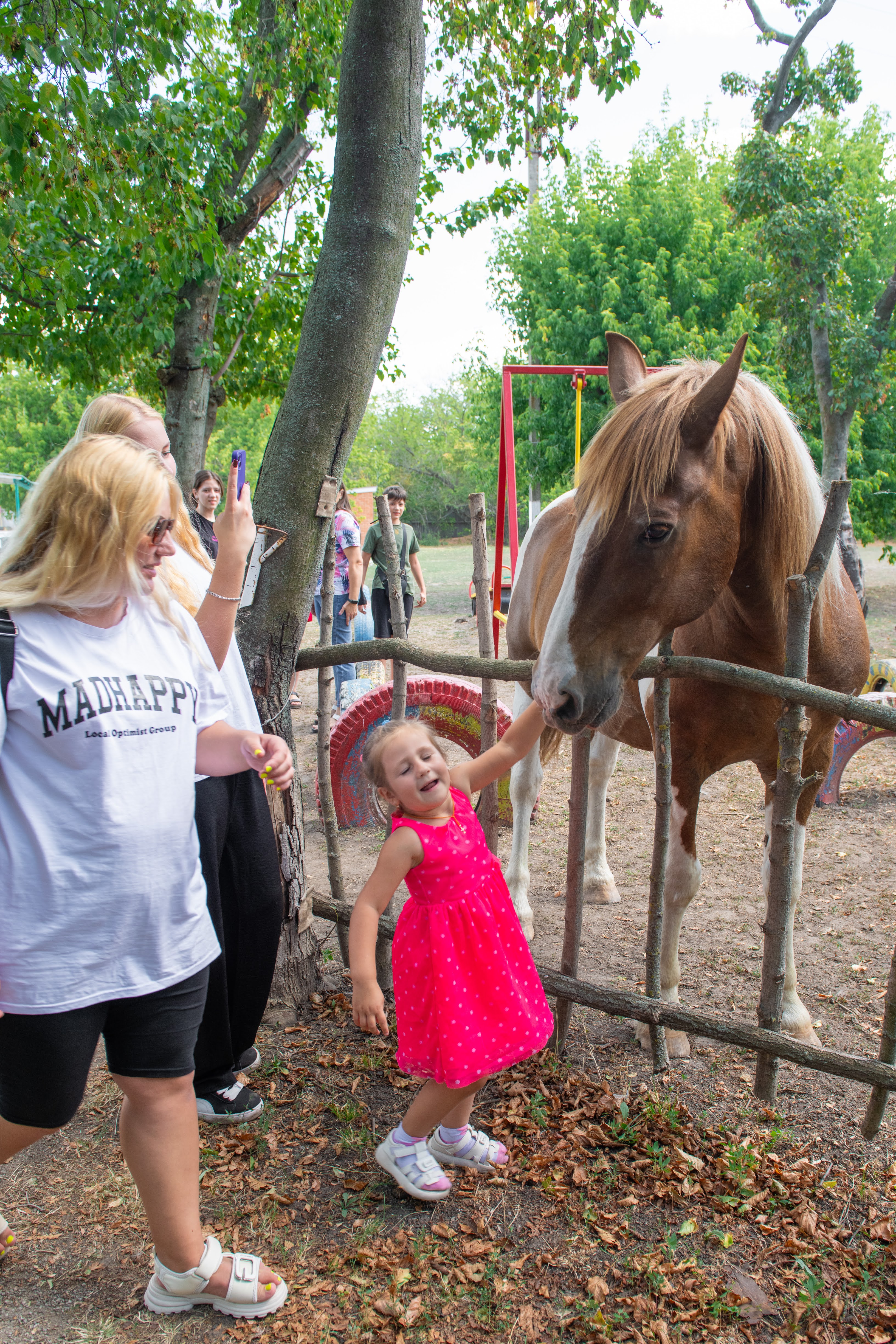 Кропивницький подарував херсонцям і містянам теплий день радості та підтримки Кропивницький подарував херсонцям і містянам теплий день радості та підтримки