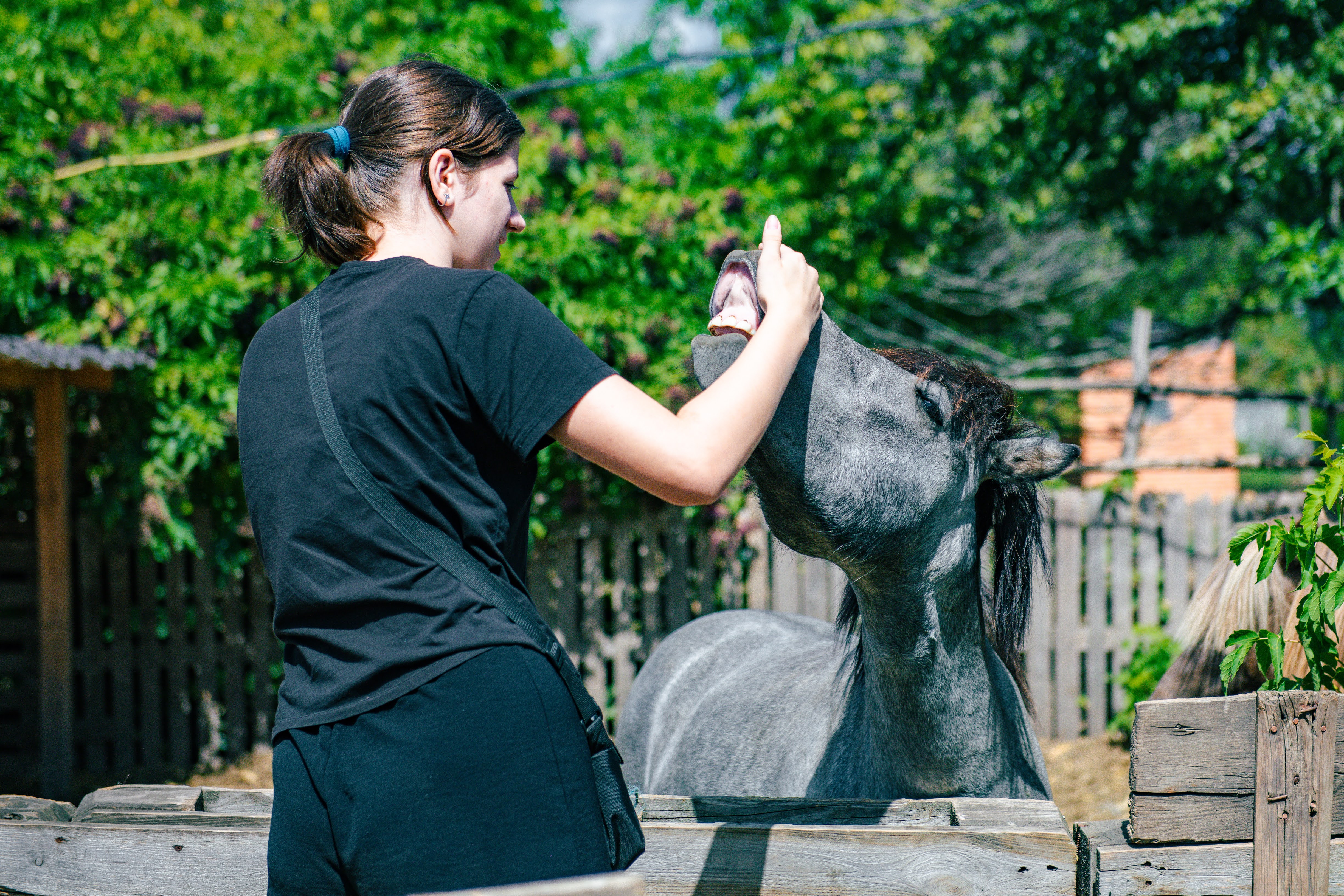 Кропивницький подарував херсонцям і містянам теплий день радості та підтримки Кропивницький подарував херсонцям і містянам теплий день радості та підтримки