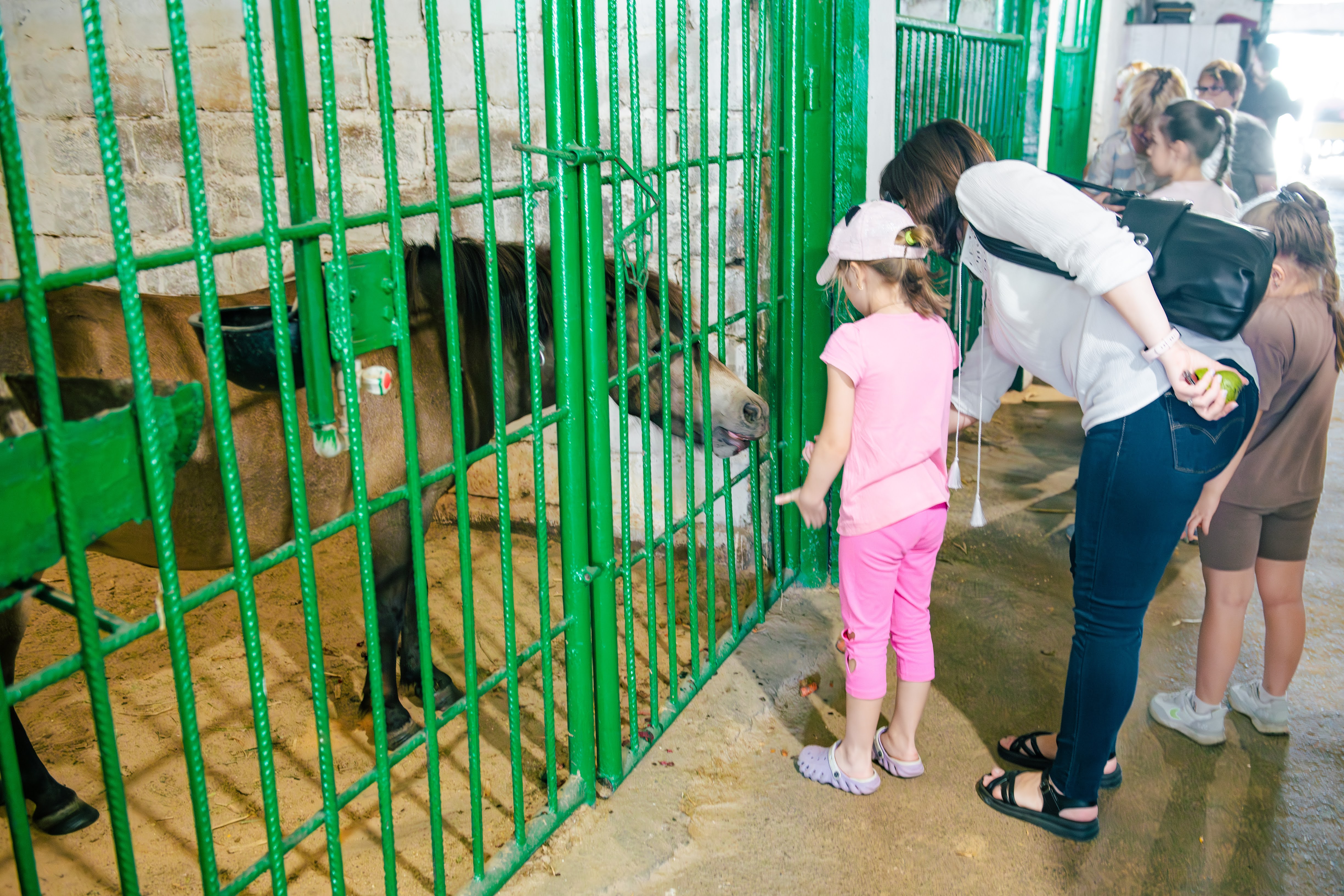 Кропивницький подарував херсонцям і містянам теплий день радості та підтримки Кропивницький подарував херсонцям і містянам теплий день радості та підтримки