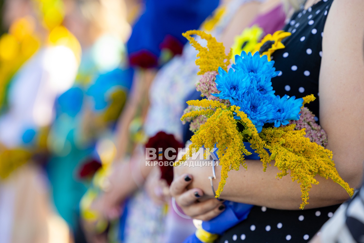 Мітинг до Дня пам'яті загиблих захисників України відбувся у Світловодську Мітинг до Дня пам'яті загиблих захисників України відбувся у Світловодську