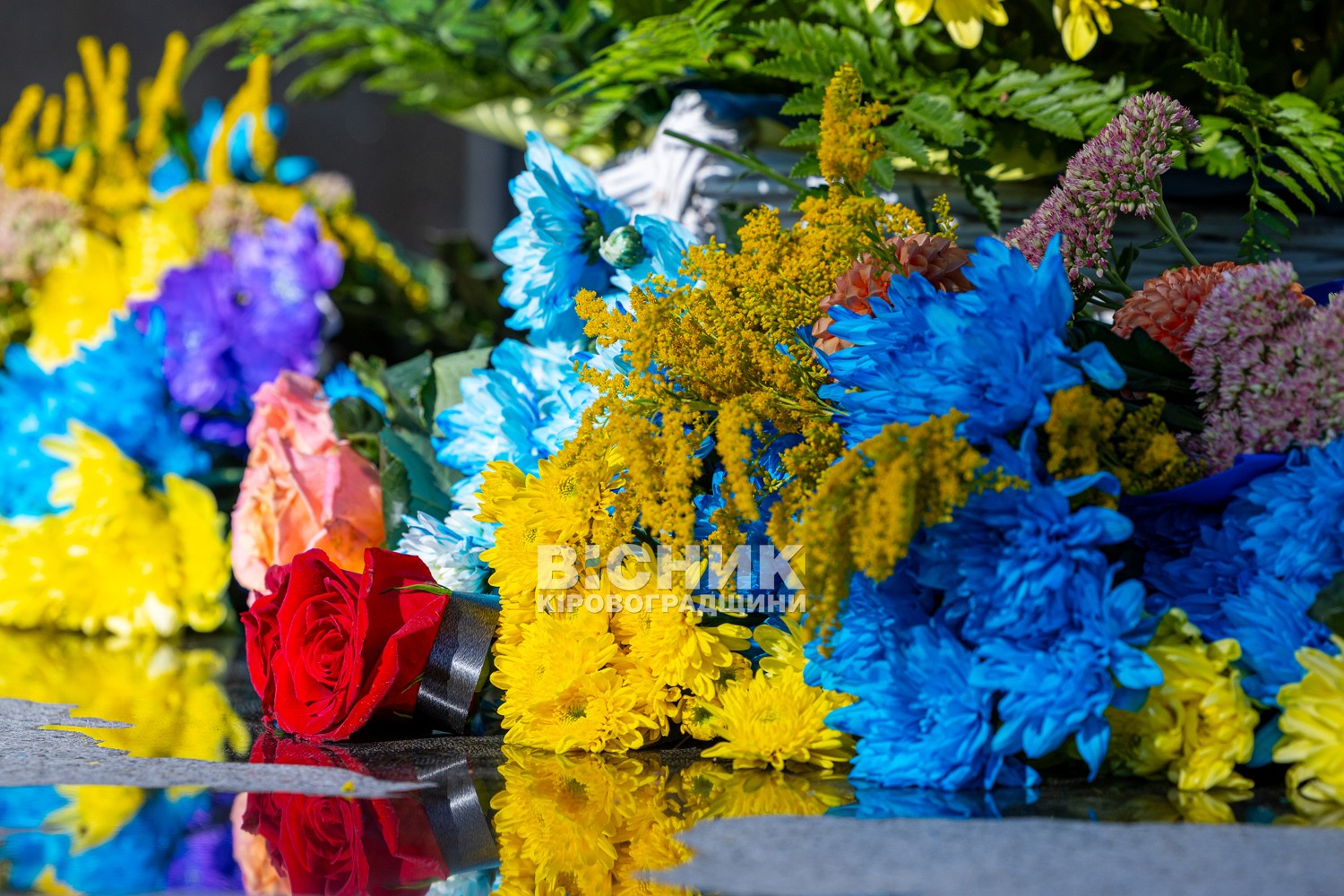 Мітинг до Дня пам'яті загиблих захисників України відбувся у Світловодську Мітинг до Дня пам'яті загиблих захисників України відбувся у Світловодську