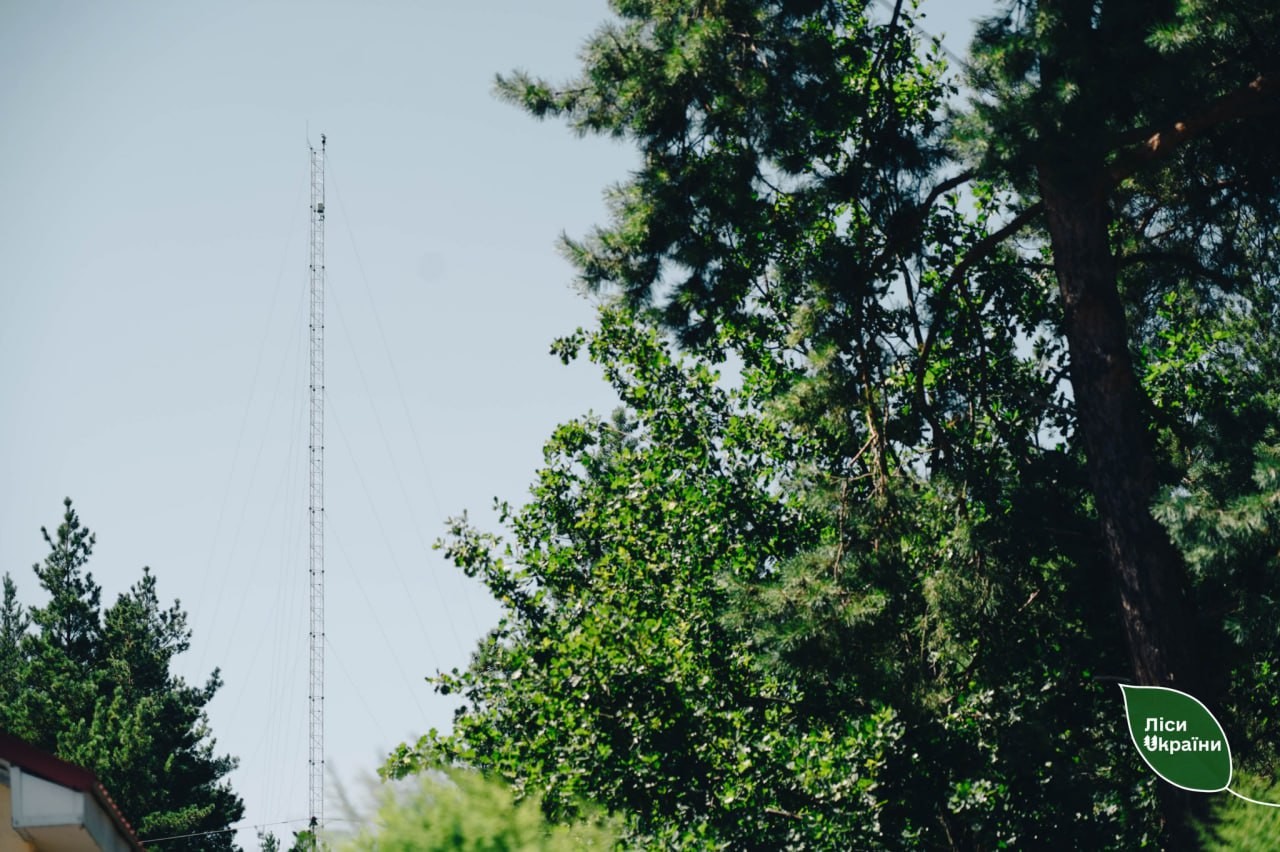 На Кіровоградщині відкривають сезон полювання, щоб стримати сказ і чуму свиней