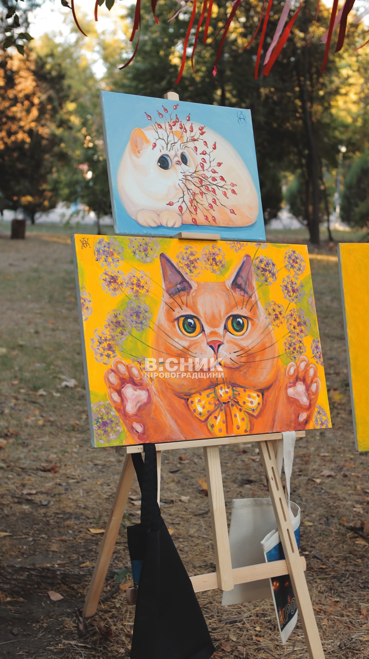 У Кропивницькому відкрили нову локацію «Простору хоробрих»